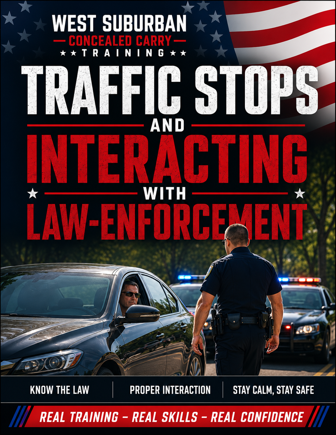Traffic Stops